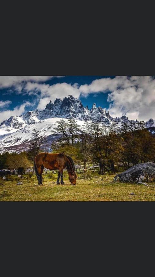Hostel Basecamp Cerro Castillo Вілла-Серро-Кастільйо Екстер'єр фото